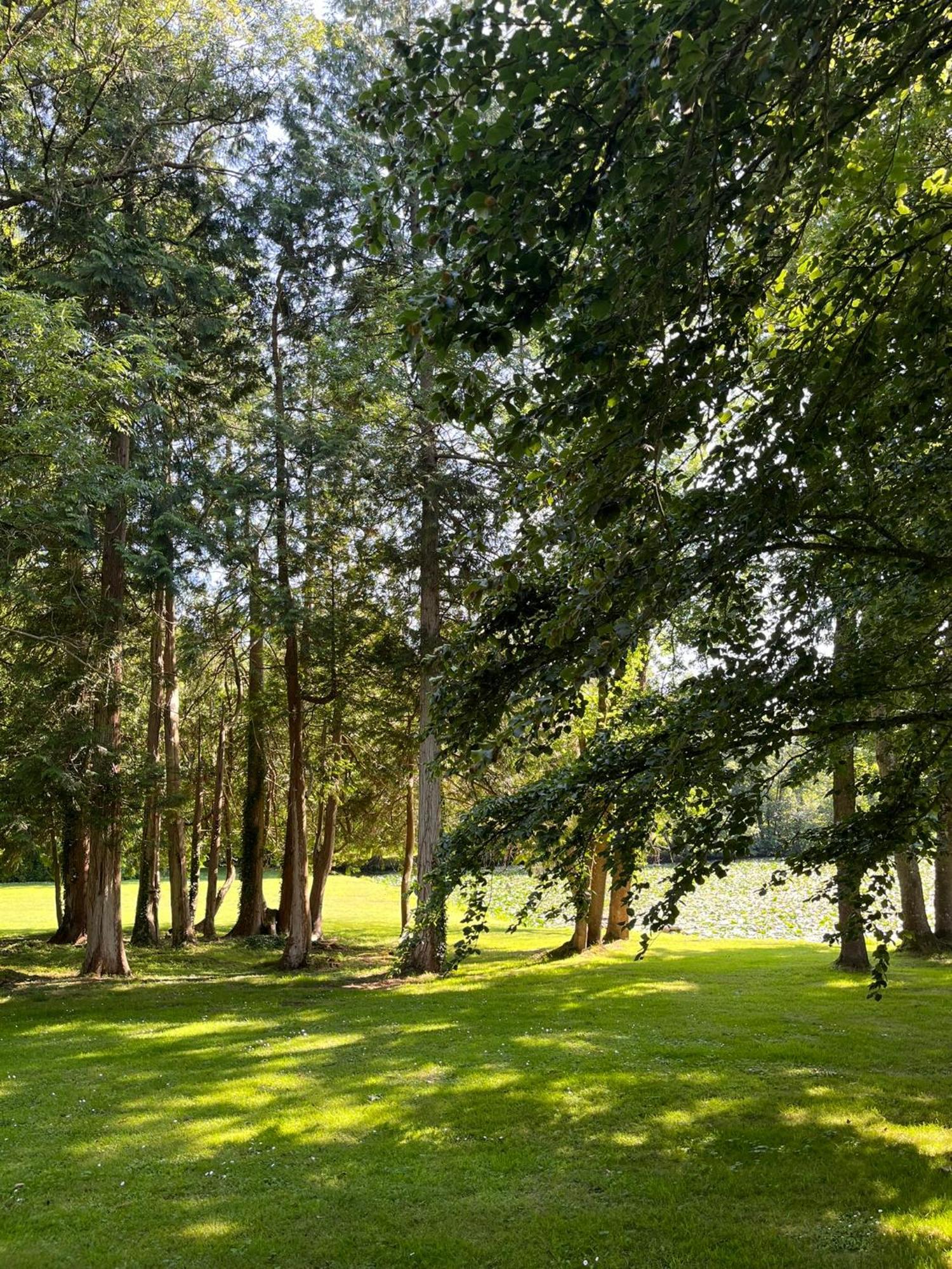Abbaye De Blanchelande Bed and Breakfast Neufmesnil Buitenkant foto